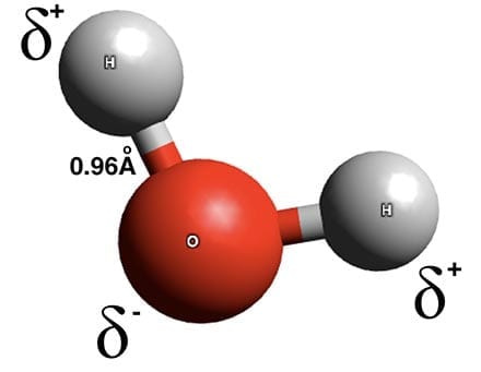 Water Molecule Structure