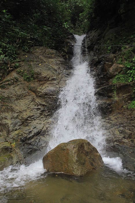Waterfalls of Tolima Sweet Marias