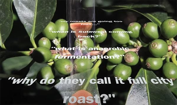 5-Minute-Coffee-Questions-Answers