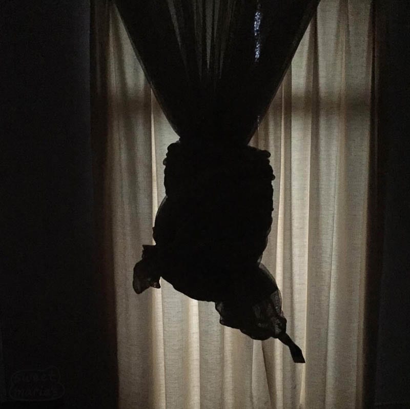 Mosquito net. Jimma Ethiopia 6am.