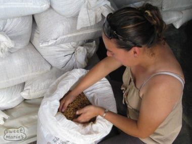 Francesca shows us the different types of Miel coffee. Costa Rica