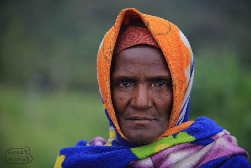 Ethiopia Shakiso Trek, A Visit Out-of-Harvest - Sweet Maria's Coffee ...