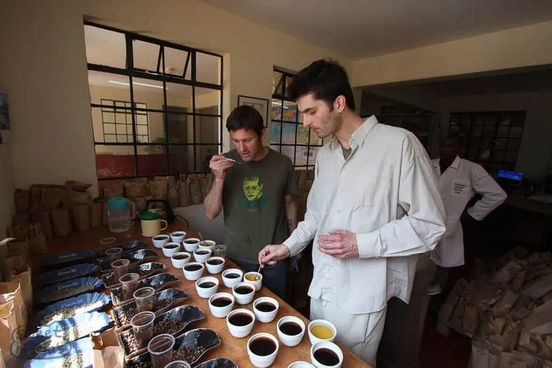 Cupping Spoon - Old Goat - Showroom Coffee