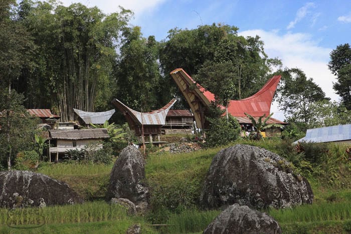 Yet another typical Toraja family cluster