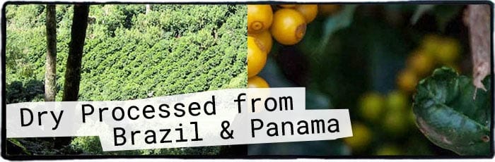 Aug. 5, 2020 Brazil & Panama Arrivals