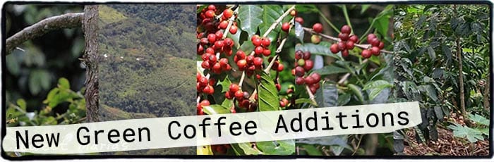 August 15, 2020 - New Coffee Additions