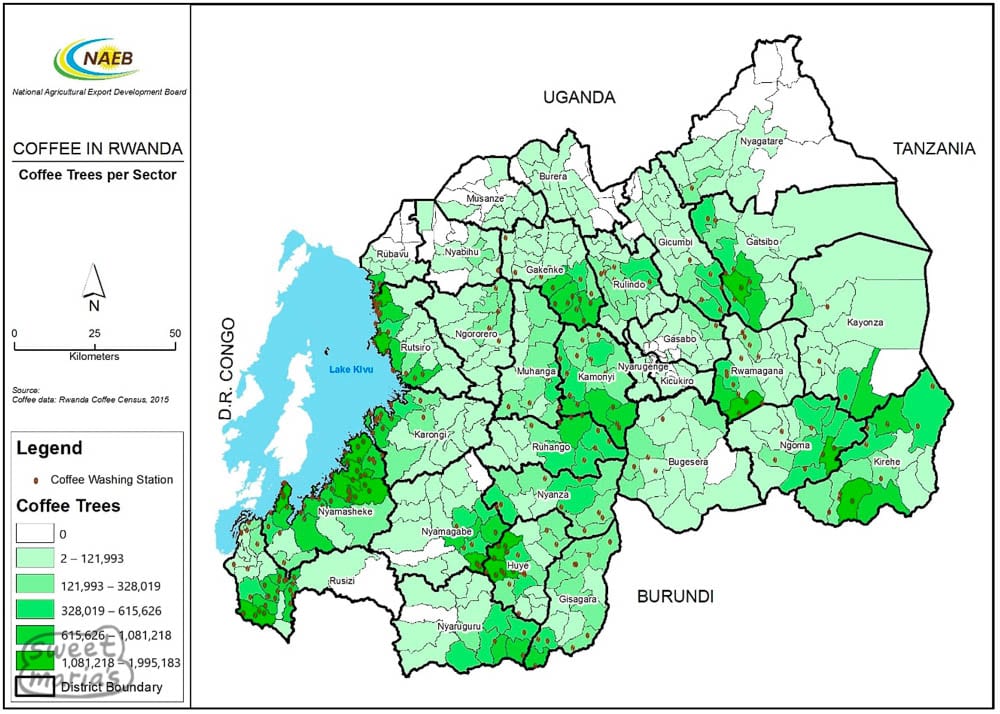 Rwanda Coffee Areas Map