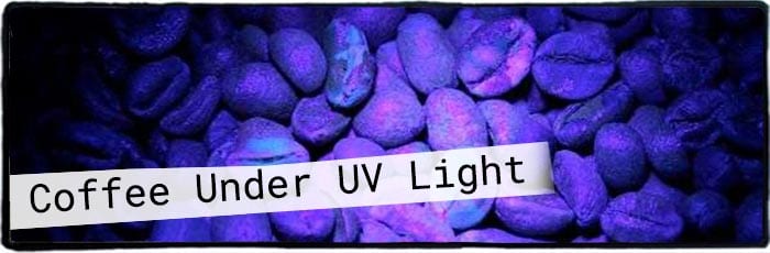 Coffee Under UV
