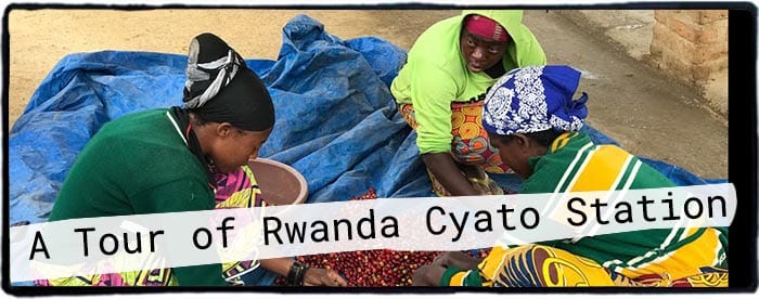 Rwanda Cyato