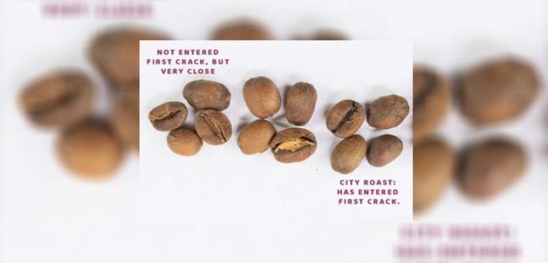 First crack coffee roasting