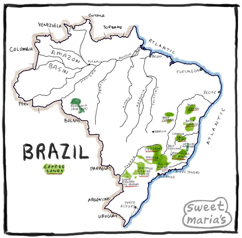 Brazil Coffee Map Sweet Marias