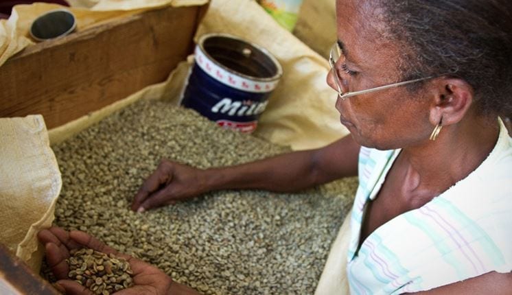 Café dominicano especialidad - Fresh coffee from the Tropics – Gente de la  Isla