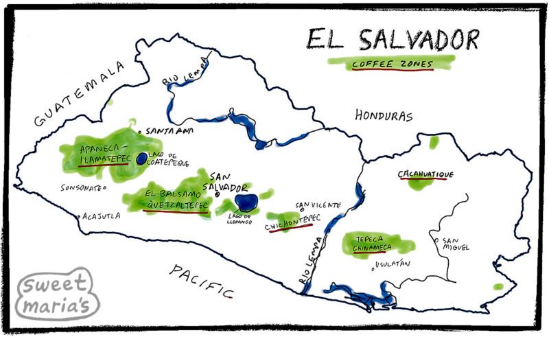 El Salvador Coffee Map Sweet Marias