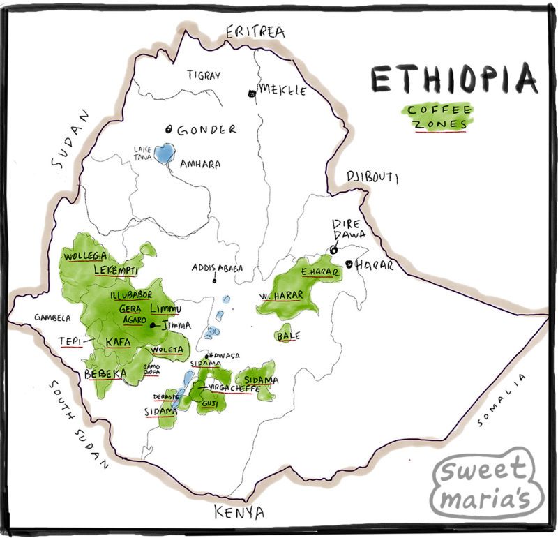 Ethiopia Coffee Map Sweet Marias