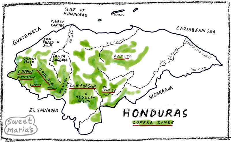 Honduras Coffee Map Sweet Marias