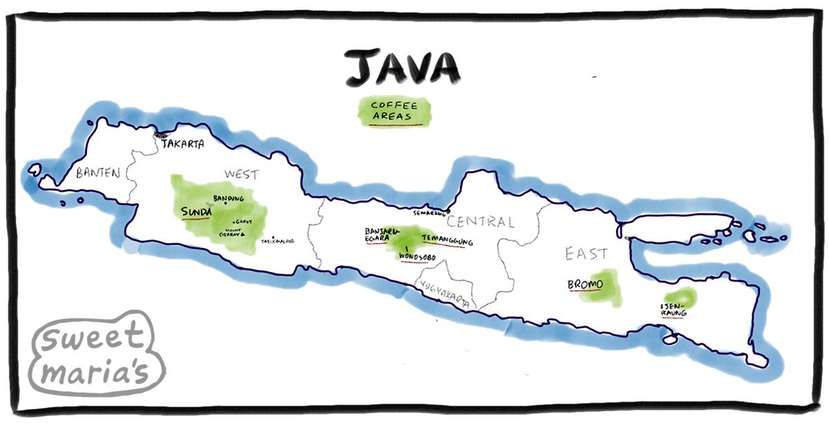 https://library.sweetmarias.com/wp-content/uploads/2021/08/Java-Coffee-Map-Indonesia-Sweet-Marias.jpg