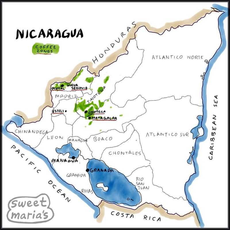 Nicaragua Coffee Map Sweet Marias