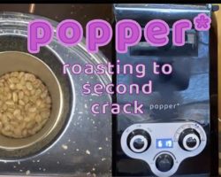 Roast Development to Second Crack in Popper Coffee Roaster
