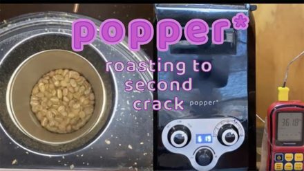Popper air roaster profile