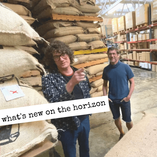 video update on green coffee