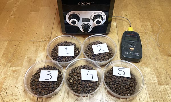 Popper coffee roaster with multiple roast batches