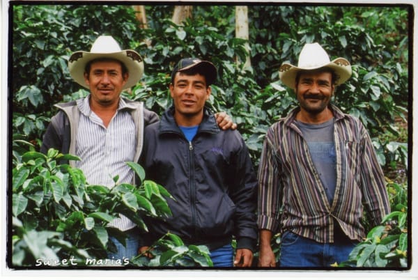 Honduras: Coffee Sourcing Challenges