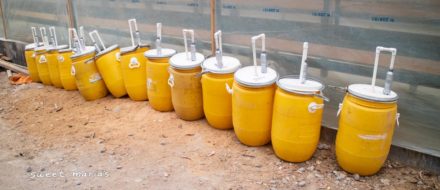 A line of sealed plastic yellow barrels for anaerobic fermentation at Punta del Cerro mill in Huehuetenango.