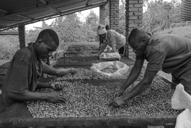 Mushonyi station, Rutsiro District