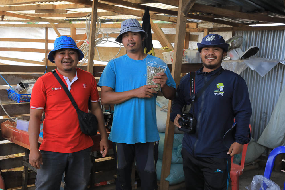 Coffee producers and processors, Kerinci