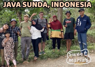 Java Indonesia Coffee Sumatra video