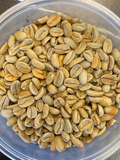 Unroasted green coffee of the Panama Dry Process Oscarcito Gesha