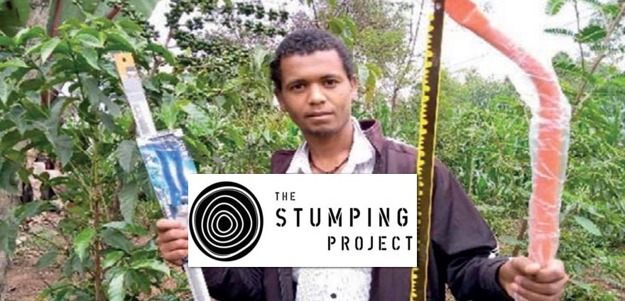 The Stumping Project