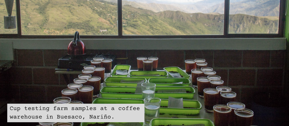 Cup testing farm samples at a green coffee warehouse in Buesaco, Nariño.