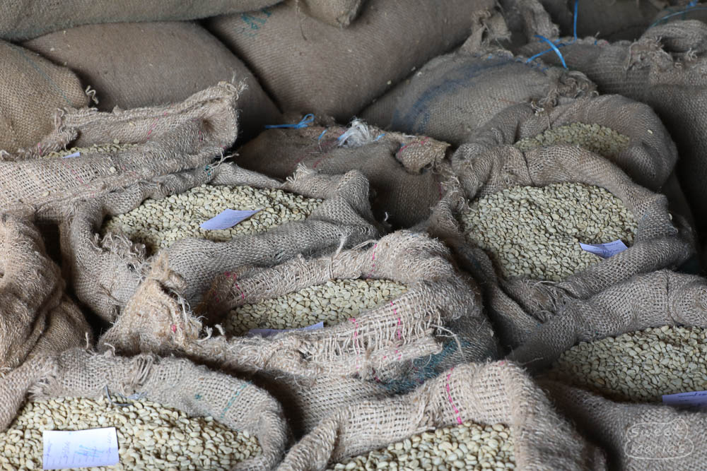 This is a picture of coffee parchment that is "resting" in the warehouse at Kenisa coop. I like this picture, and have taken the same one 1000 times.