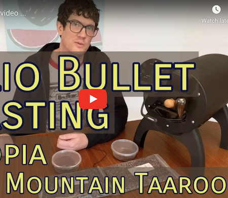 bullet roast profile of ethiopia kayon mountain taaroo