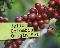 Hello: Colombia Single Origin Coffee Set