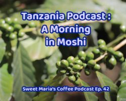 Tanzania-Podcast-Ep-42