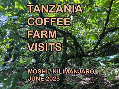 Tanzania coffee farm visits