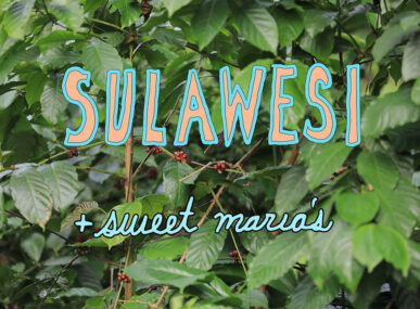 Sulawesi coffee growing areas