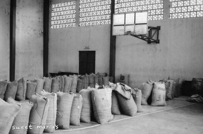 Jute bags filled with coffee from the harvest are stored in the town gymnasium. Chiapas, Mexico.