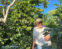 Father Luis Duarte (front), and son Luis Jr (back) give us a tour of the Miravalles farm in Ahuachapán, El Salvador.