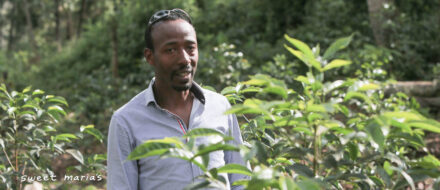 Esmael Hassen from Kayon Mountain coffee poses for us at his farm.