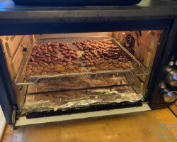 Roasting cacao at home in a convection toaster oven on a screen with high air flow fan setting