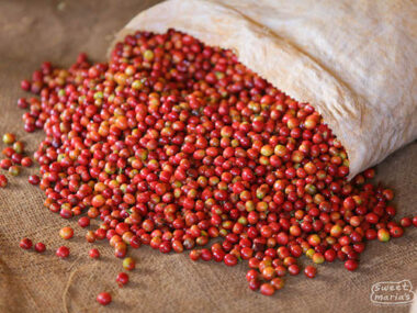 Ethiopian Cini Coffee Cups at Sweet Maria's - Sweet Maria's Coffee Library