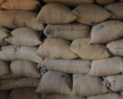 coffee bags in kaffa