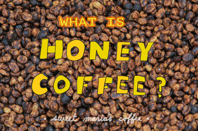 WHAT IS HONEY COFFEE