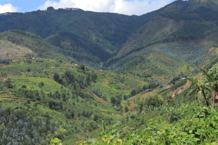 Nyongwe Forest Rwanda