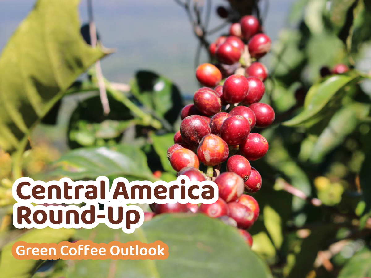 July Green Coffee Outlook: Central America Roundup - Sweet Maria's ... July Green Coffee Outlook: Central America Roundup - Sweet Maria's ...
