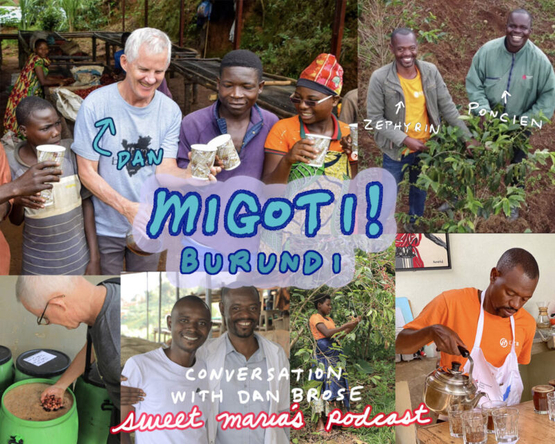 Migoti coffee washing station Mutambu Burundi