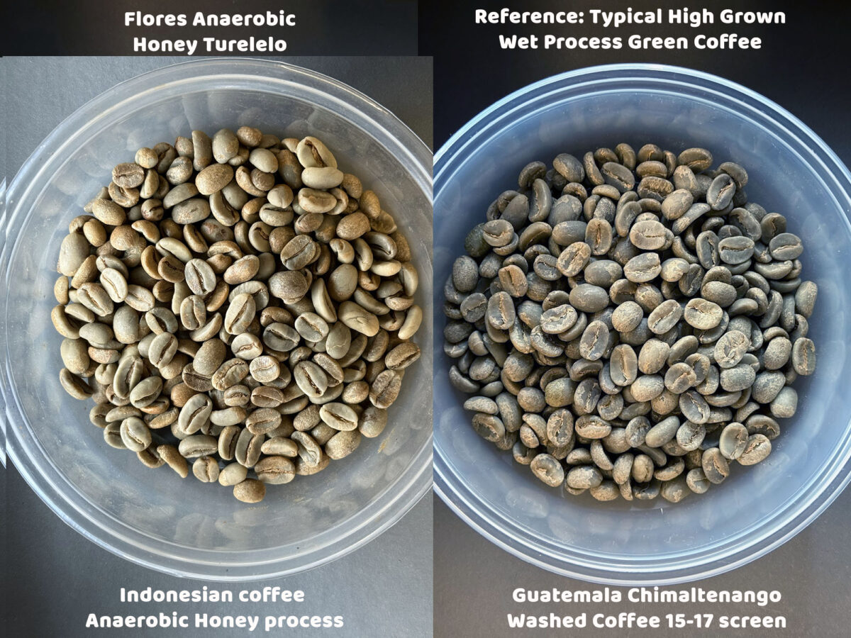 Flores-Anaerobic-Honey-Turelelo- Sweet Maria's- Green Coffee Comparison